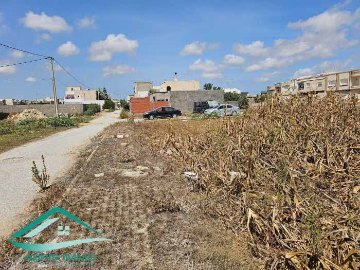 Kelibia Kelibia Vente Surfaces Vt835 terrain 280 m2  cit jadaria kelibia