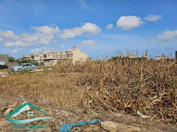 Kelibia Kelibia Vente Surfaces Vt835 terrain 280 m2  cit jadaria kelibia