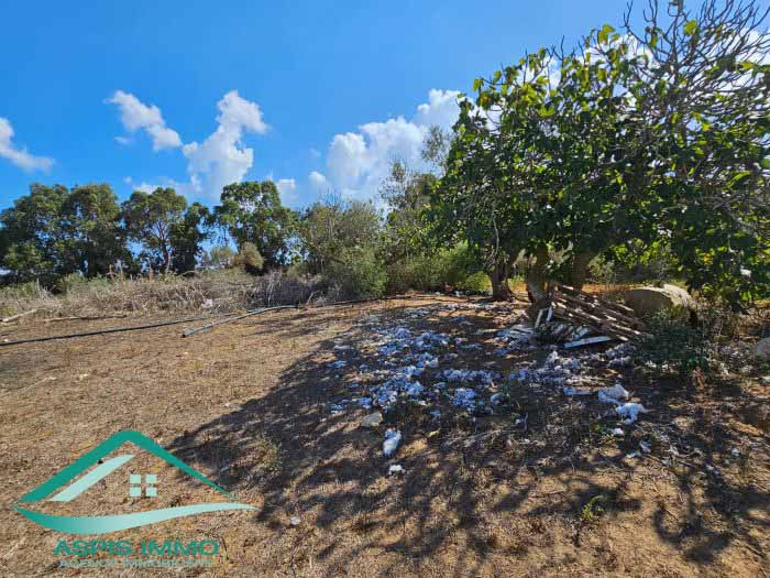 Kelibia Kerkouane Vente Surfaces Vt849 terrain agricole 13500 m2  kerkouene