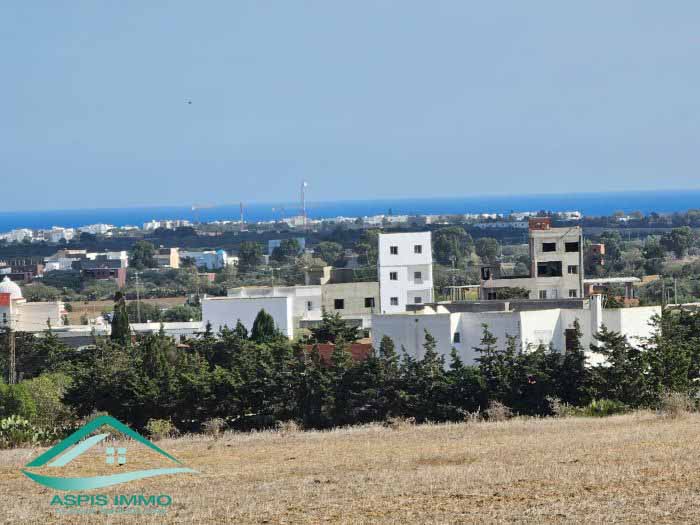 Hammam El Ghezaz Tamazrat Vente Surfaces Vt850 terrain agricole 5980 m2  tamezrat kelibia