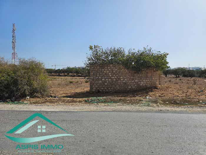 Kelibia Kelibia Vente Surfaces Vt861 terrain 246 m2  kelibia