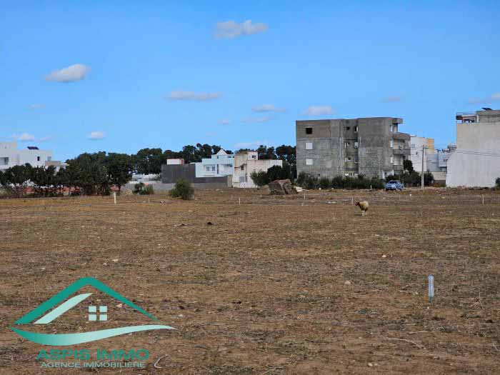 Kelibia Kelibia Vente Surfaces Vt873 terrain 160 m2  hammem ghzeez