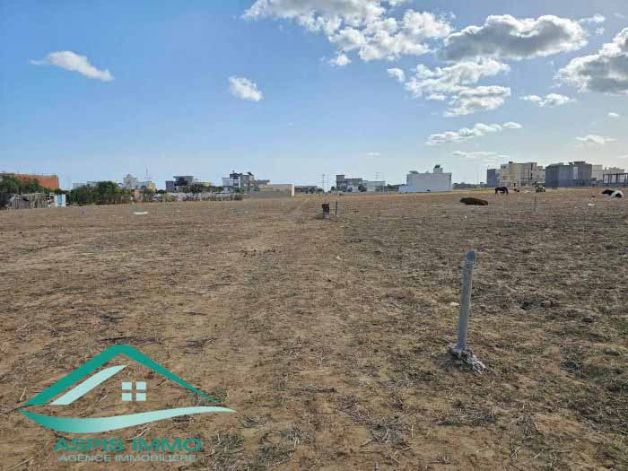 Kelibia Kelibia Vente Surfaces Vt873 terrain 160 m2  hammem ghzeez