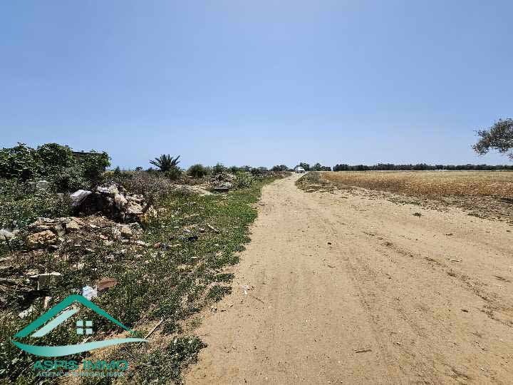 Kelibia Kelibia Vente Surfaces Vt904 terrain agricole 8755 m2  kelibia