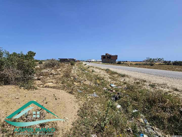 Kelibia Kelibia Vente Surfaces Vt904 terrain agricole 8755 m2  kelibia