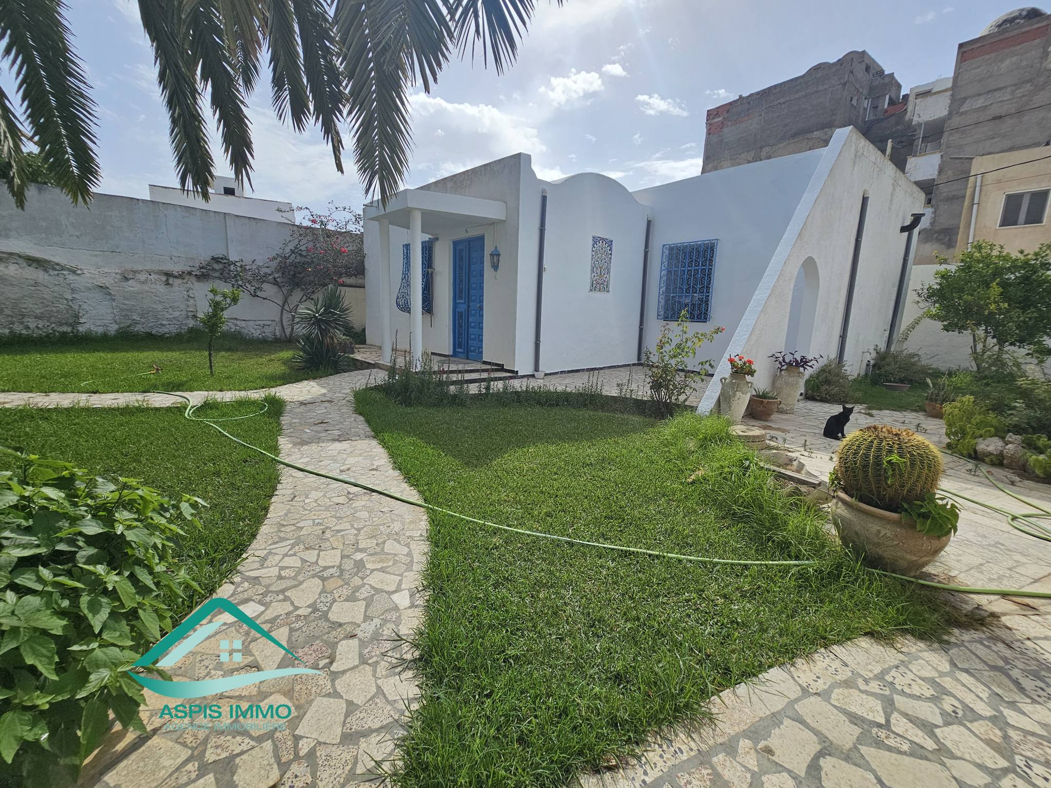 Kelibia Kelibia Vente Maisons Vt914 maison 743 m2  fatha 2 kelibia