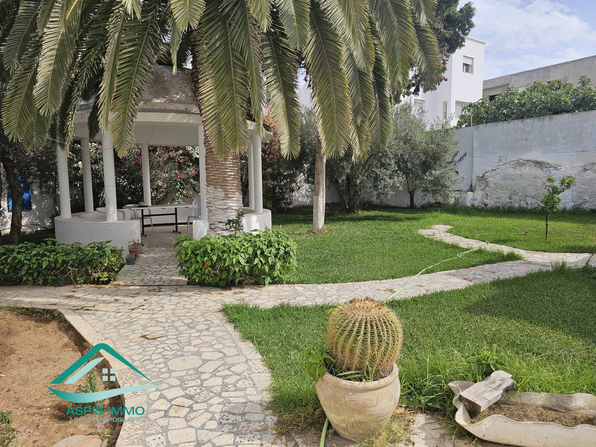 Kelibia Kelibia Vente Maisons Vt914 maison 743 m2  fatha 2 kelibia