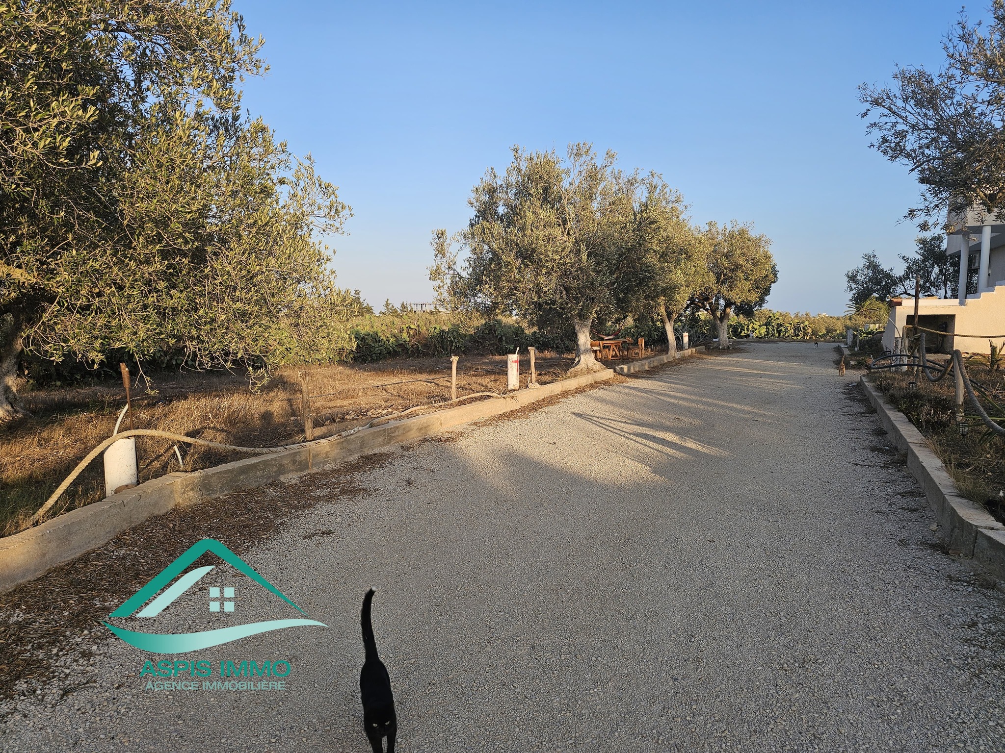 Kelibia Kelibia Vente Surfaces Vt929 terrain 430 m2  kelibia
