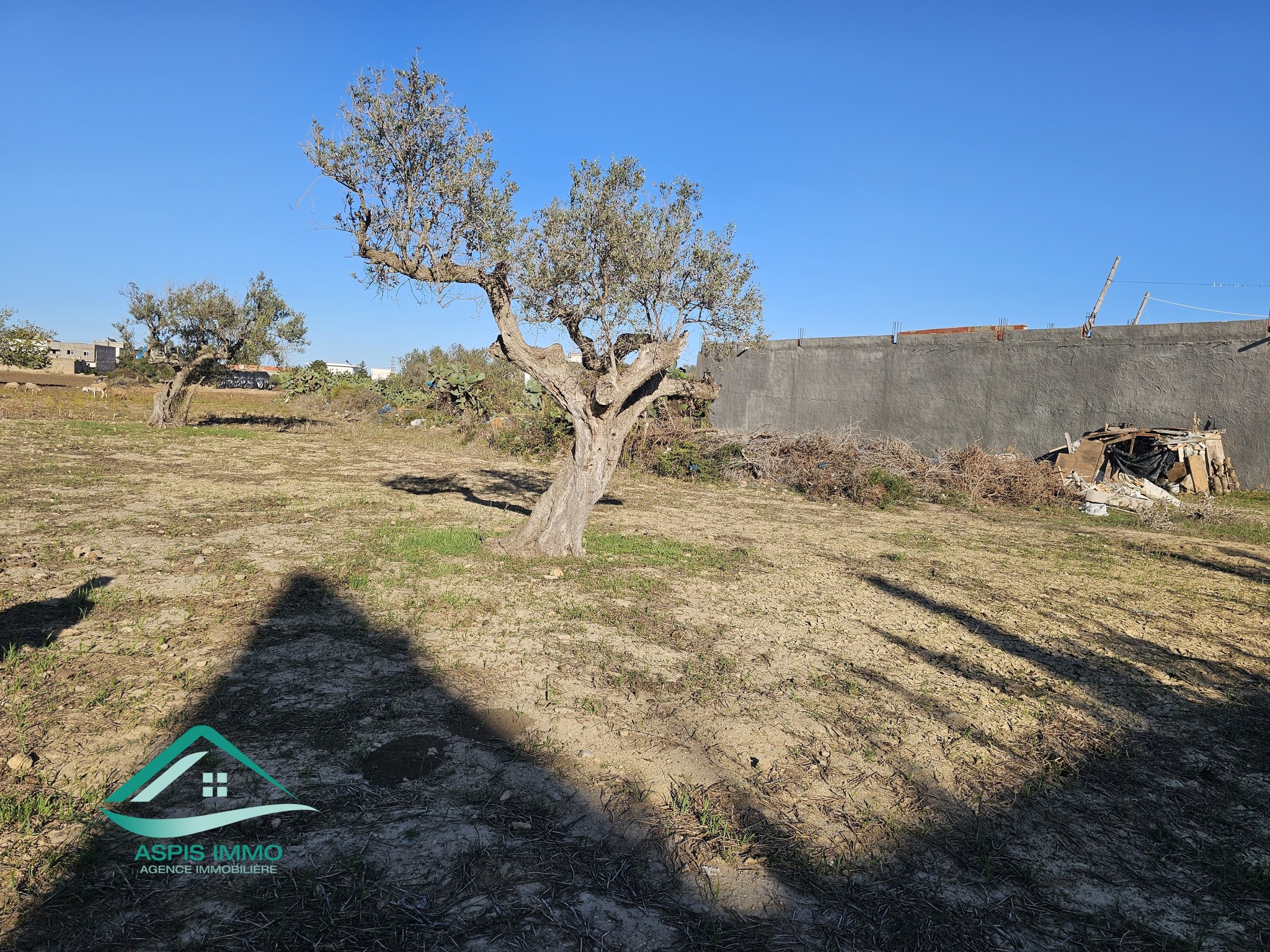 Kelibia Kelibia Vente Surfaces Vt939 terrain 400 m2   tahert kelibia
