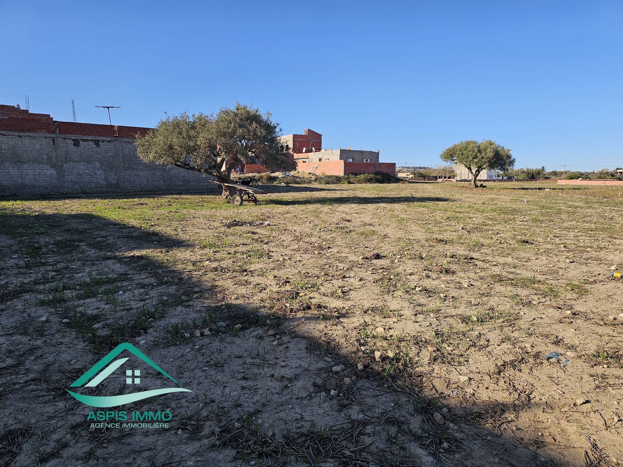 Kelibia Kelibia Vente Surfaces Vt939 terrain 400 m2   tahert kelibia