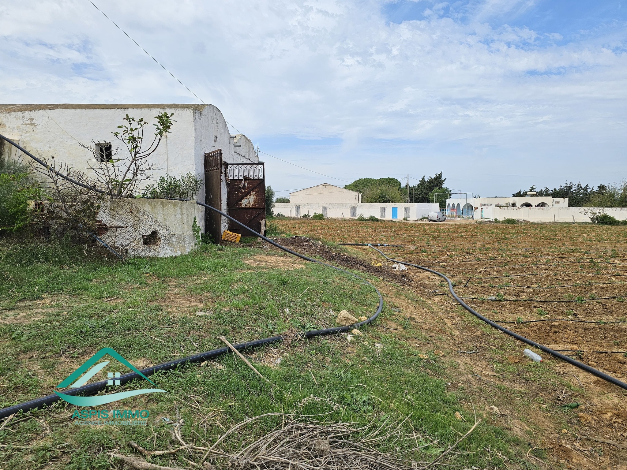 Kelibia&nbsp;Dar Allouche&nbsp;Vente&nbsp;Surfaces&nbsp;Vt942 terrain agricole 32180 m2 � dar allouch