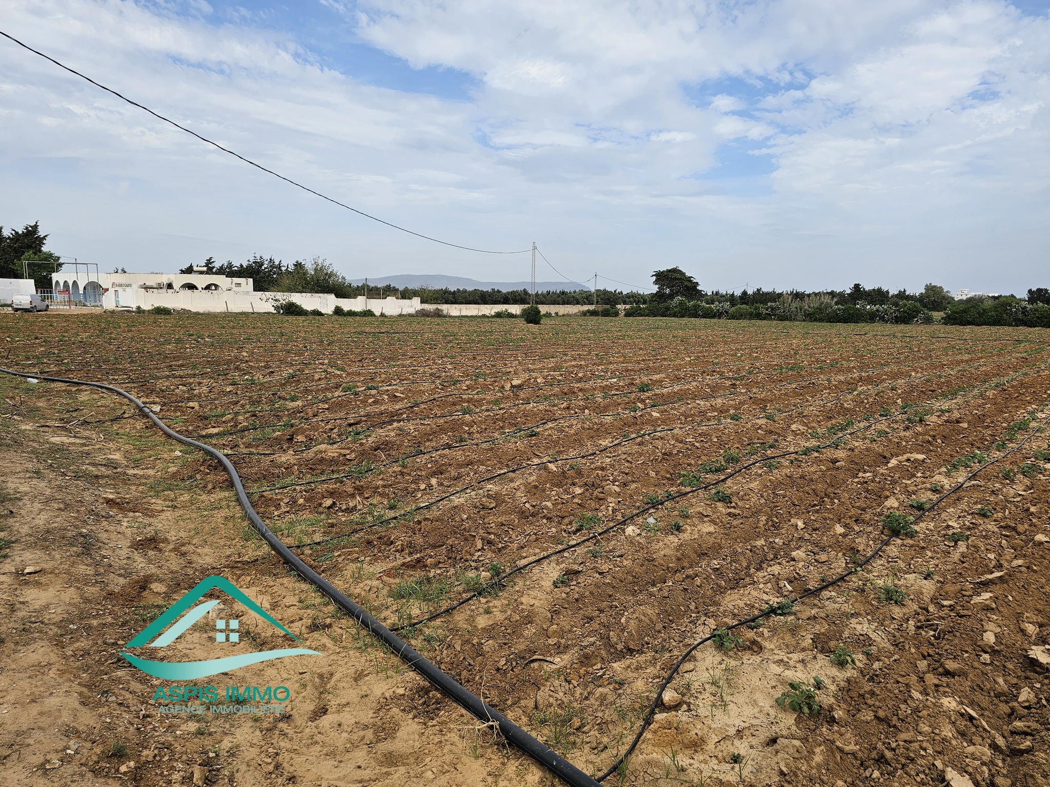 Kelibia&nbsp;Dar Allouche&nbsp;Vente&nbsp;Surfaces&nbsp;Vt942 terrain agricole 32180 m2 � dar allouch