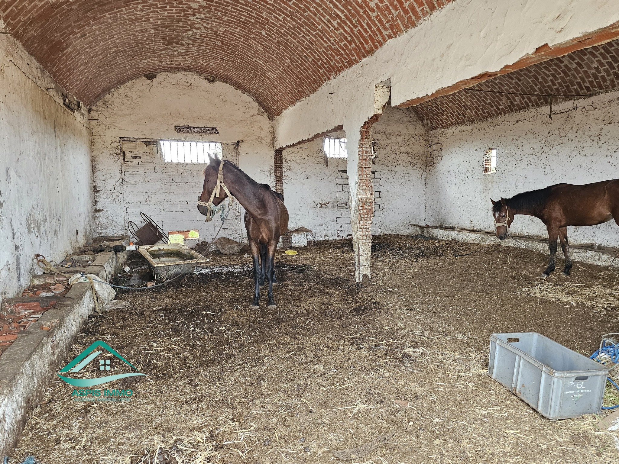 Kelibia&nbsp;Dar Allouche&nbsp;Vente&nbsp;Surfaces&nbsp;Vt942 terrain agricole 32180 m2 � dar allouch