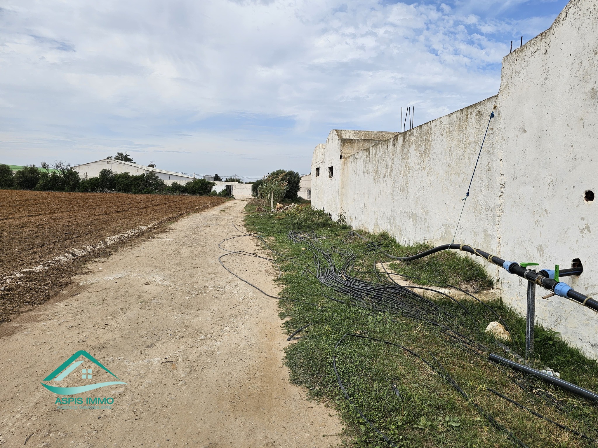 Kelibia&nbsp;Dar Allouche&nbsp;Vente&nbsp;Surfaces&nbsp;Vt942 terrain agricole 32180 m2 � dar allouch