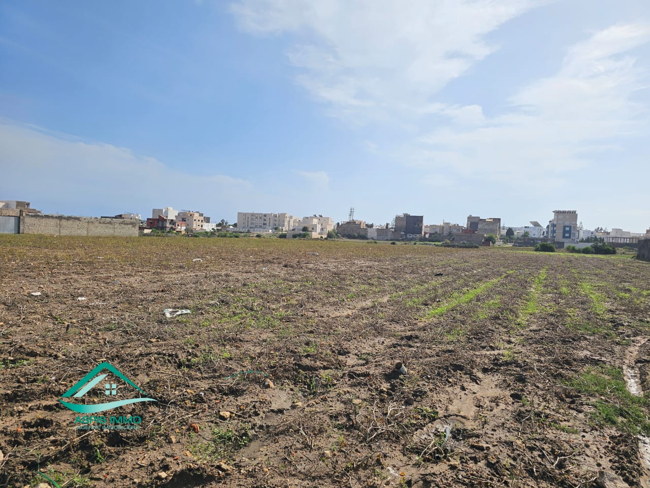 Kelibia Kelibia Vente Surfaces Vt952 terrain 254 m2  kelibia