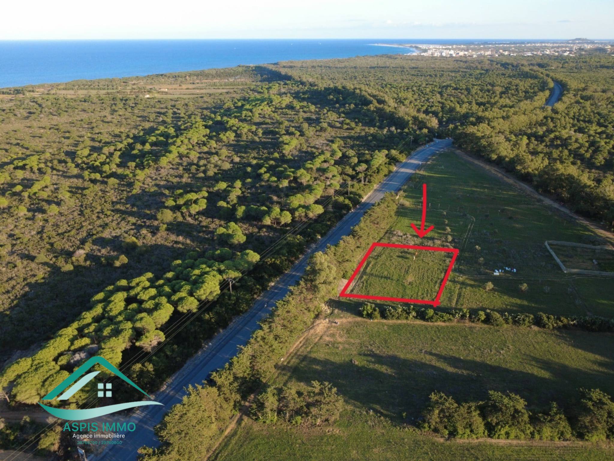 Kelibia Kelibia Vente Surfaces Vt955 terrain 1000 m2  kerkouene