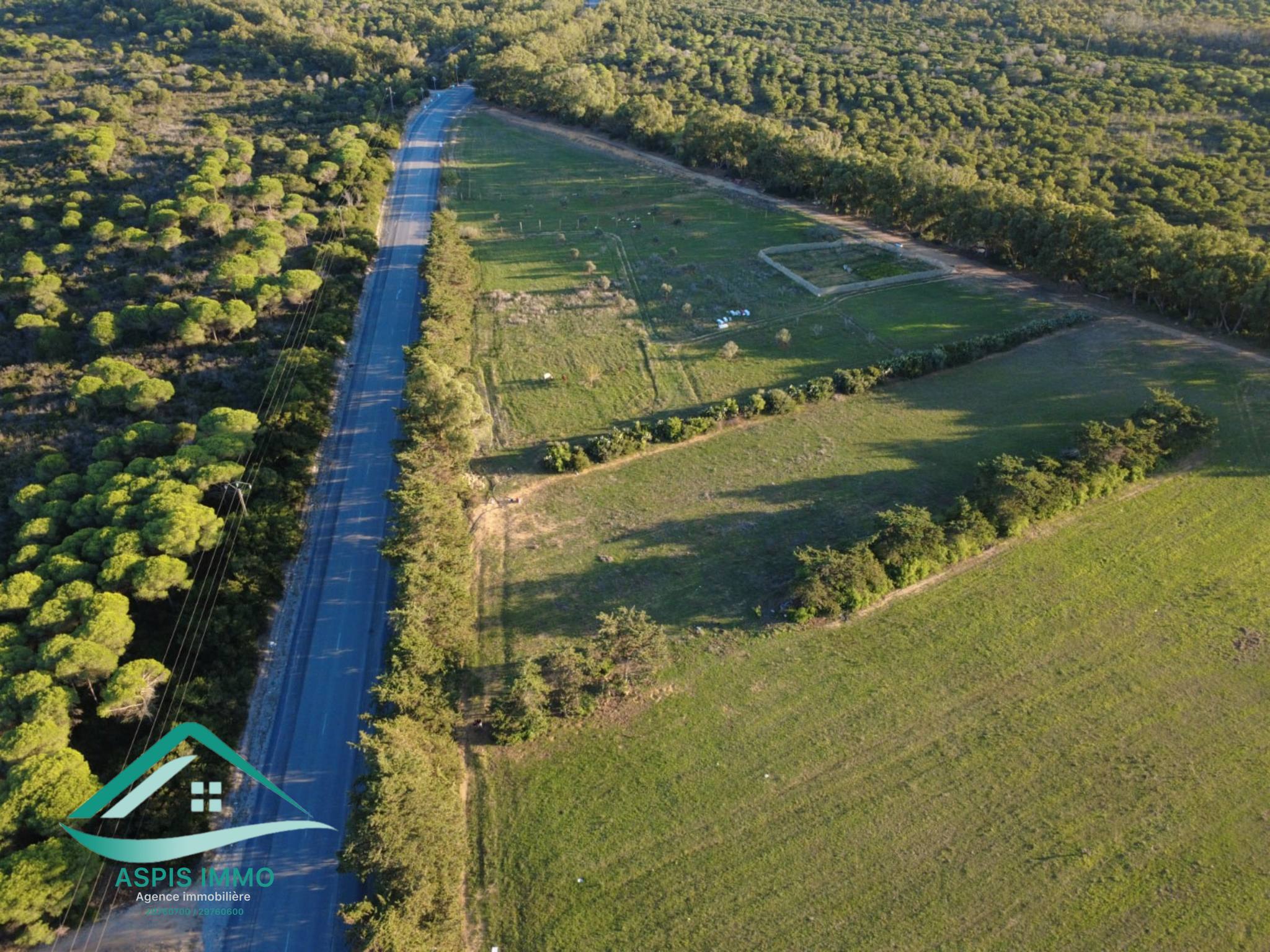 Kelibia Kelibia Vente Surfaces Vt955 terrain 1000 m2  kerkouene