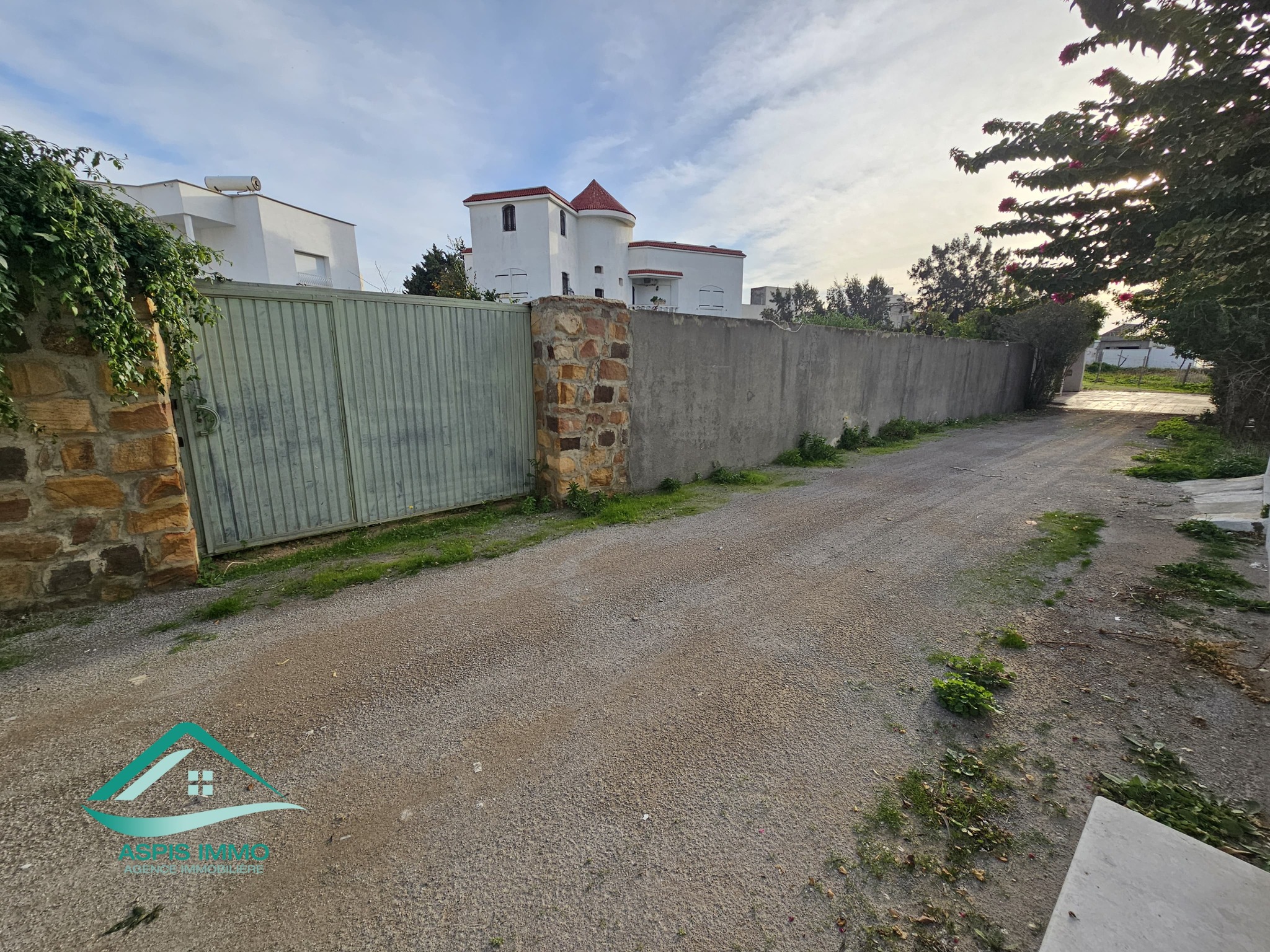 Kelibia Kelibia Vente Surfaces Vt980 terrain 244 m2  petit paris kelibia
