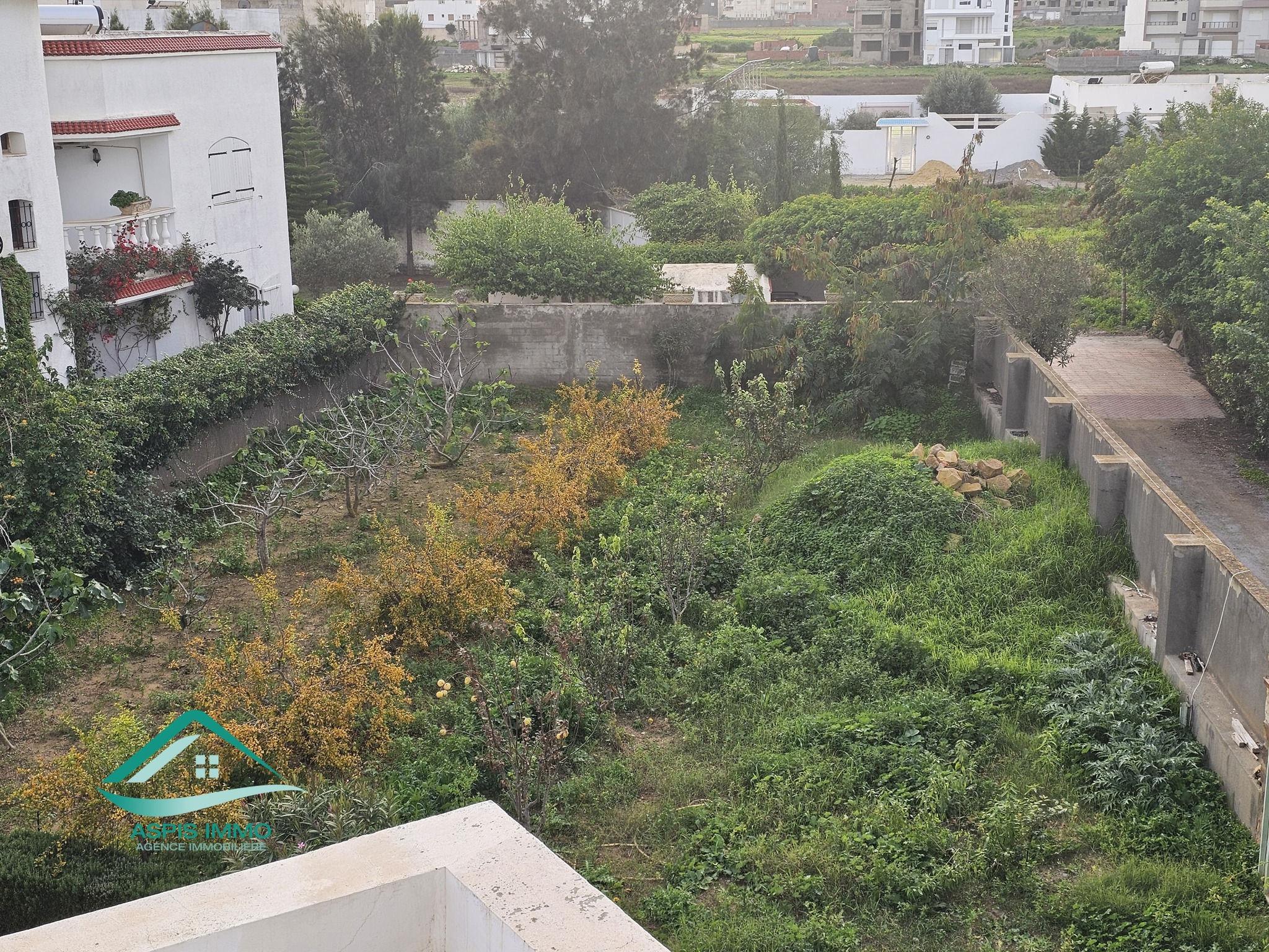 Kelibia Kelibia Vente Surfaces Vt980 terrain 244 m2  petit paris kelibia