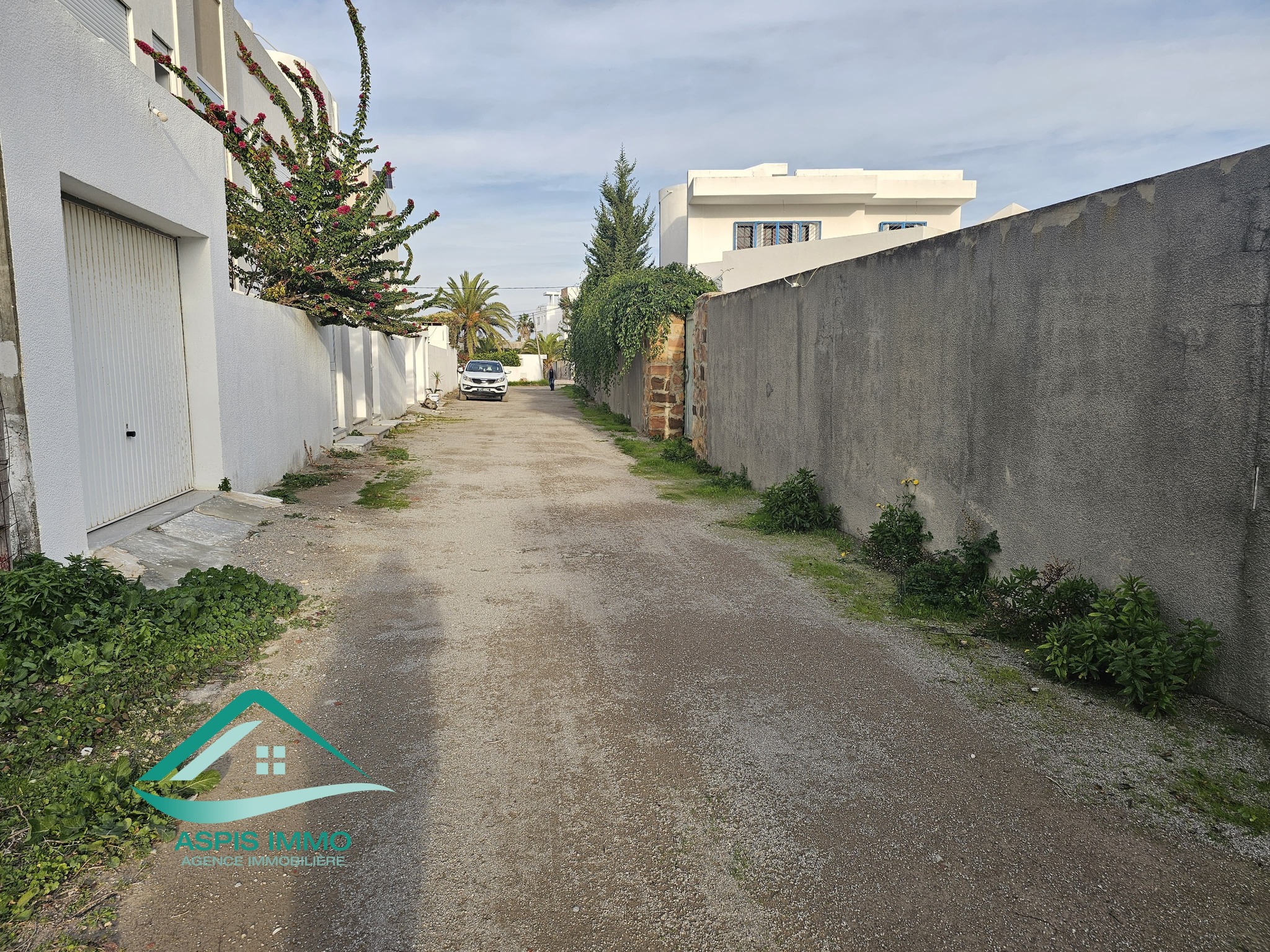 Kelibia Kelibia Vente Surfaces Vt980 terrain 244 m2  petit paris kelibia