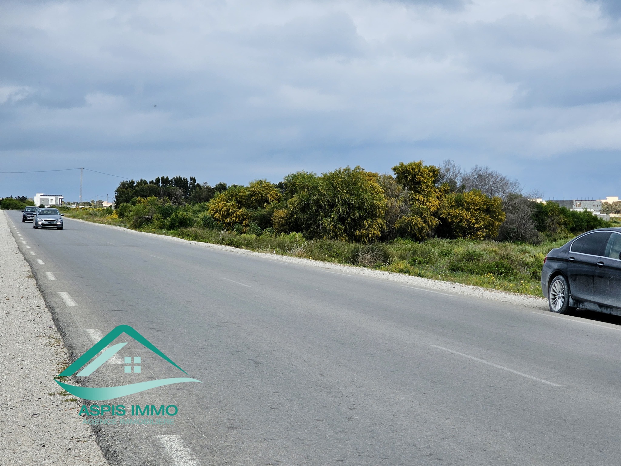 Kelibia Kelibia Vente Surfaces Vt983 terrain 1000 m2  kelibia