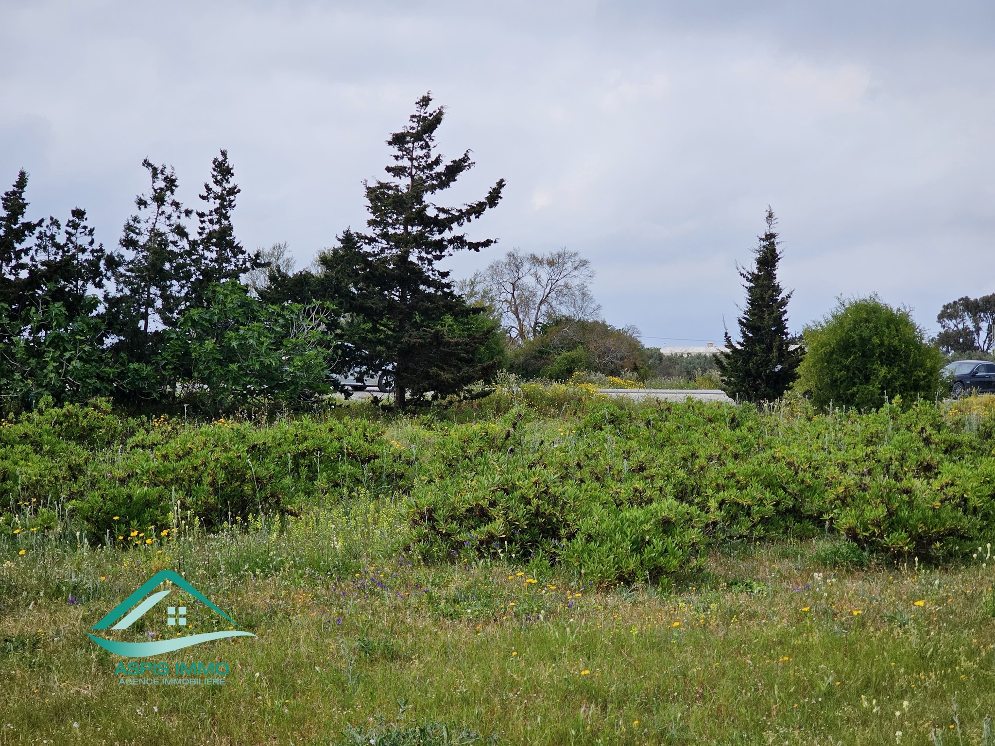 Kelibia Kelibia Vente Surfaces Vt983 terrain 1000 m2  kelibia