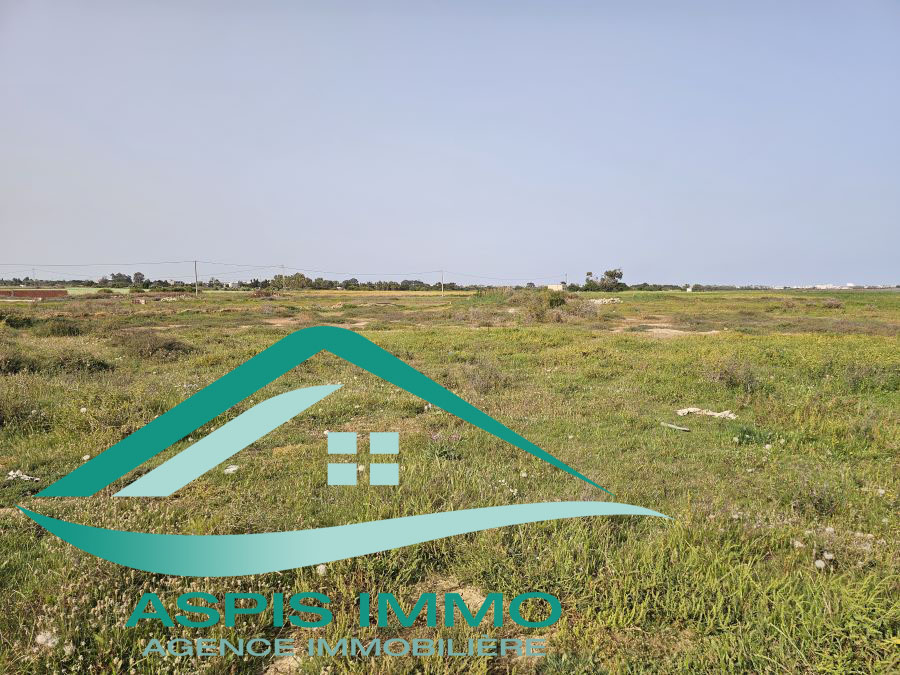 Kelibia Kelibia Vente Surfaces Vt987 terrain 300 m2  kelibia