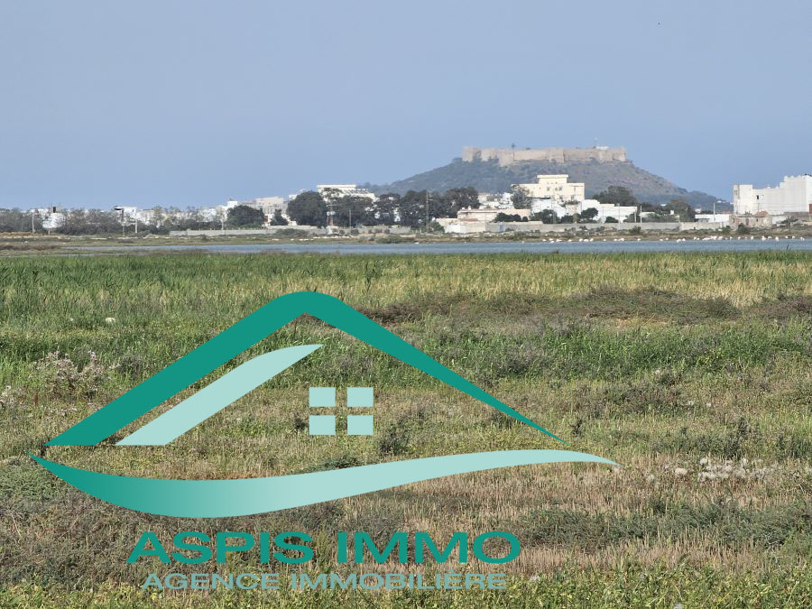 Kelibia Kelibia Vente Surfaces Vt987 terrain 300 m2  kelibia
