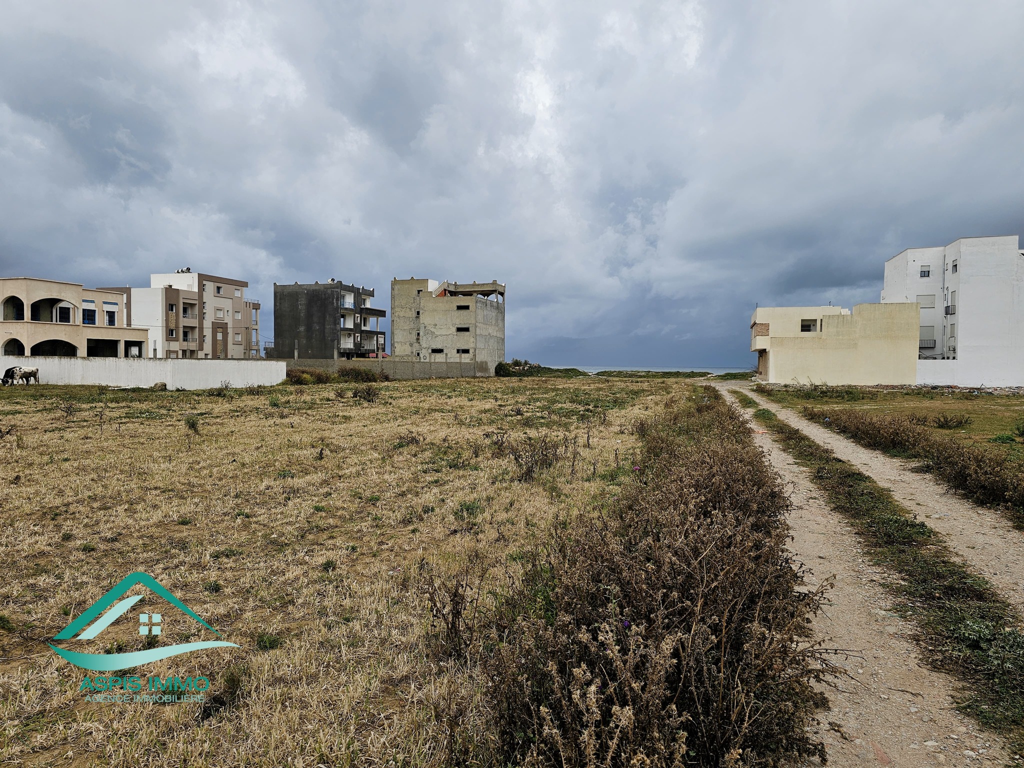 Kelibia Kelibia Vente Surfaces Vt992 terrain 500 m2  plage ain grinz  kelibia