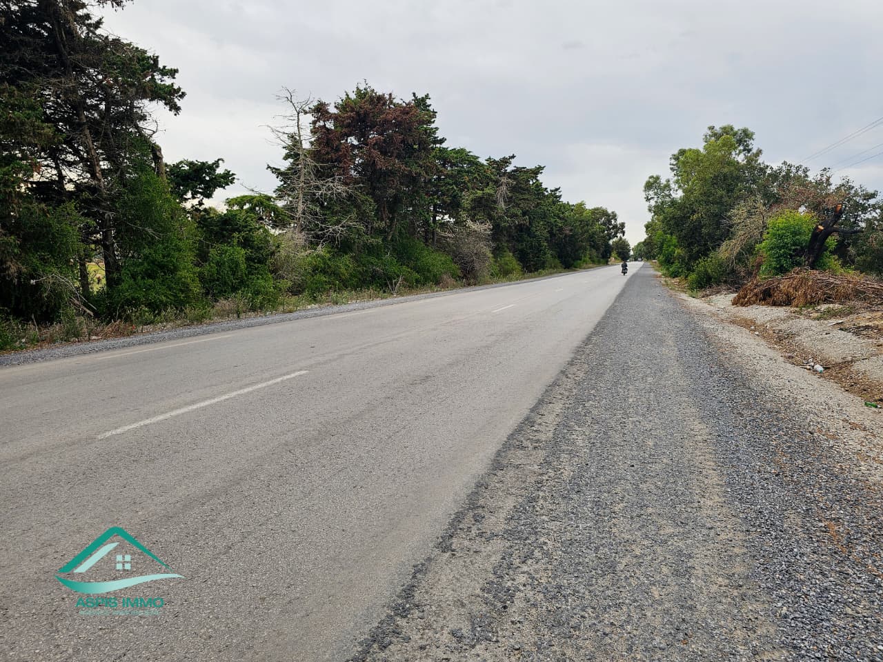 Kelibia Kerkouane Vente Surfaces Vt1006 terrain 14000 m2 sur la route  kerkouene
