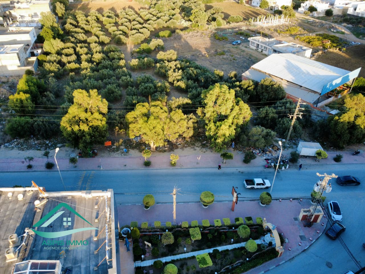 Kelibia Kelibia Vente Surfaces Vt684 terrain commercial 13500 m2  kelibia