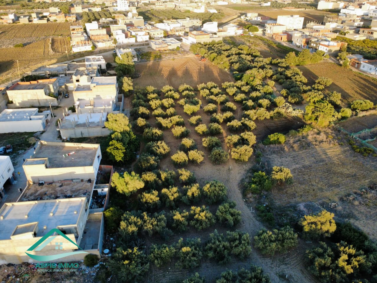 Kelibia Kelibia Vente Surfaces Vt684 terrain commercial 13500 m2  kelibia