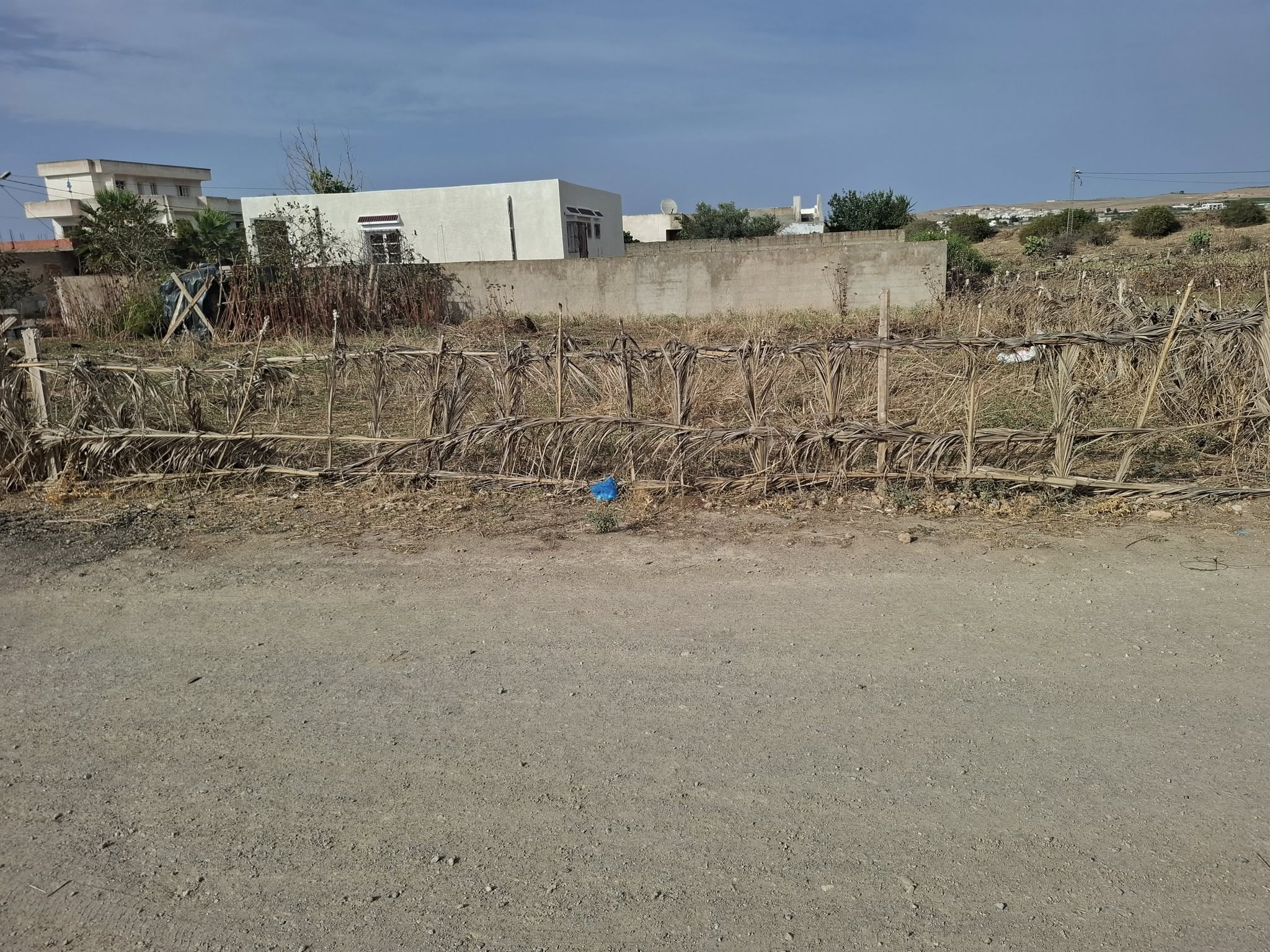Mornaguia Sidi Ali El Hattab Terrain Terrain nu Terrain tabaltech sidi ali elhattab