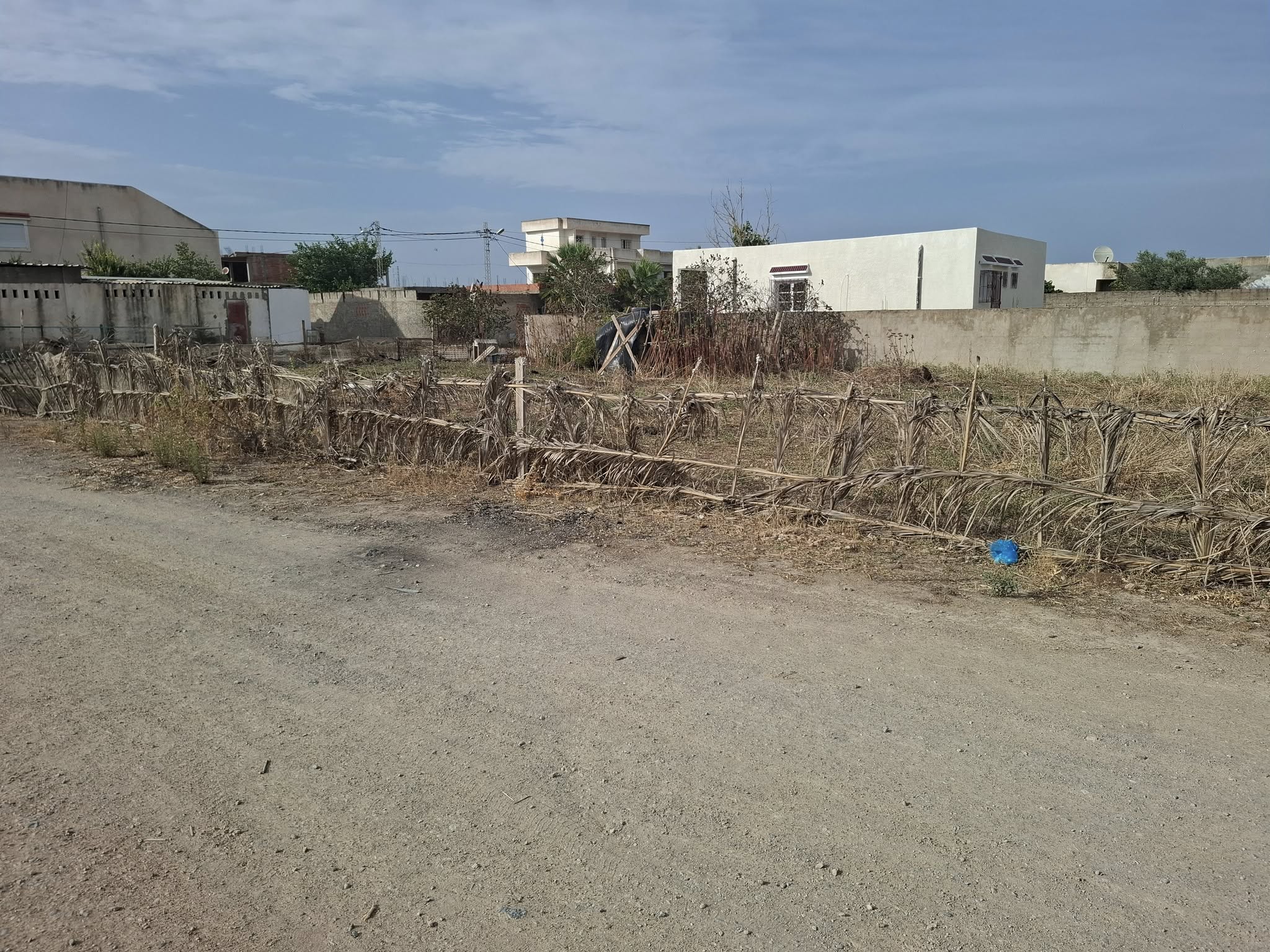 Mornaguia Sidi Ali El Hattab Terrain Terrain nu Terrain tabaltech sidi ali elhattab