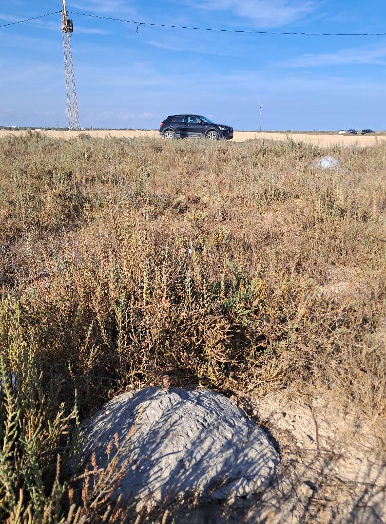 Beni Khiar El Maamoura Terrain Terrain nu Maamoura vd 1000 m2 pieds dans l'eau