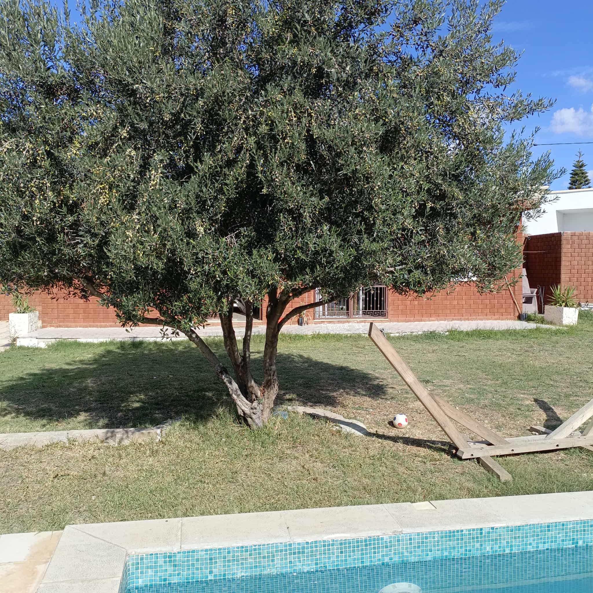 Hammamet&nbsp;Hammamet&nbsp;Vente&nbsp;Maisons&nbsp;Av  maison de 500m avec piscine � hammamet