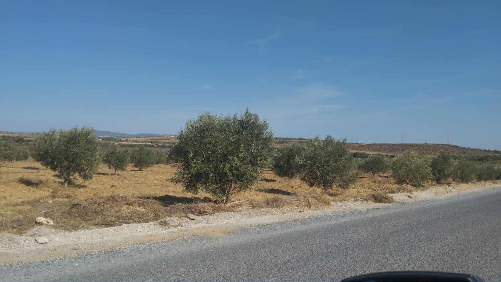 Hammamet&nbsp;Hammamet&nbsp;Terrain&nbsp;Terrain agricole&nbsp;Av de 1000m � 3000m � monchar