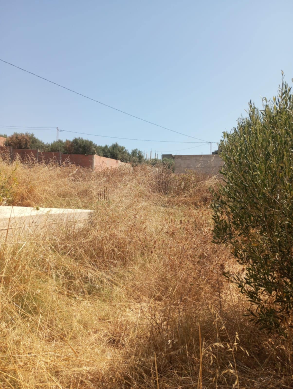Hammamet Hammamet Terrain Terrain nu Av terrain 200m avec fondation  hammamet