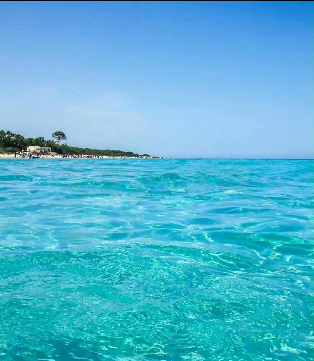 Hammam El Ghezaz Hammam Jebli Terrain Terrain agricole Invetir a ezzahra kelibia