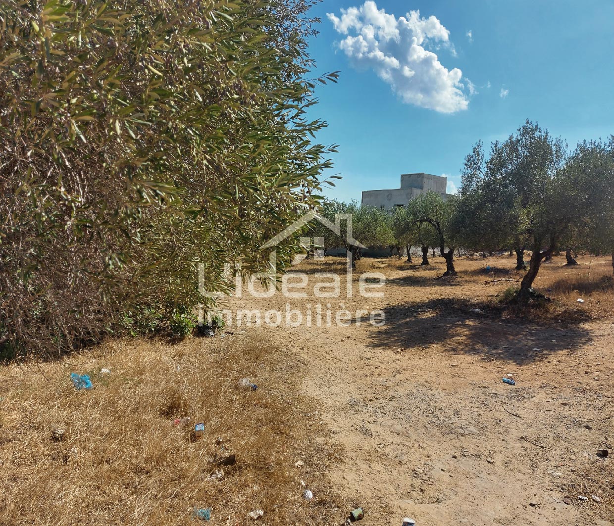 Hammamet Hammamet Terrain Terrain nu Terrain avec double faade  hammamet