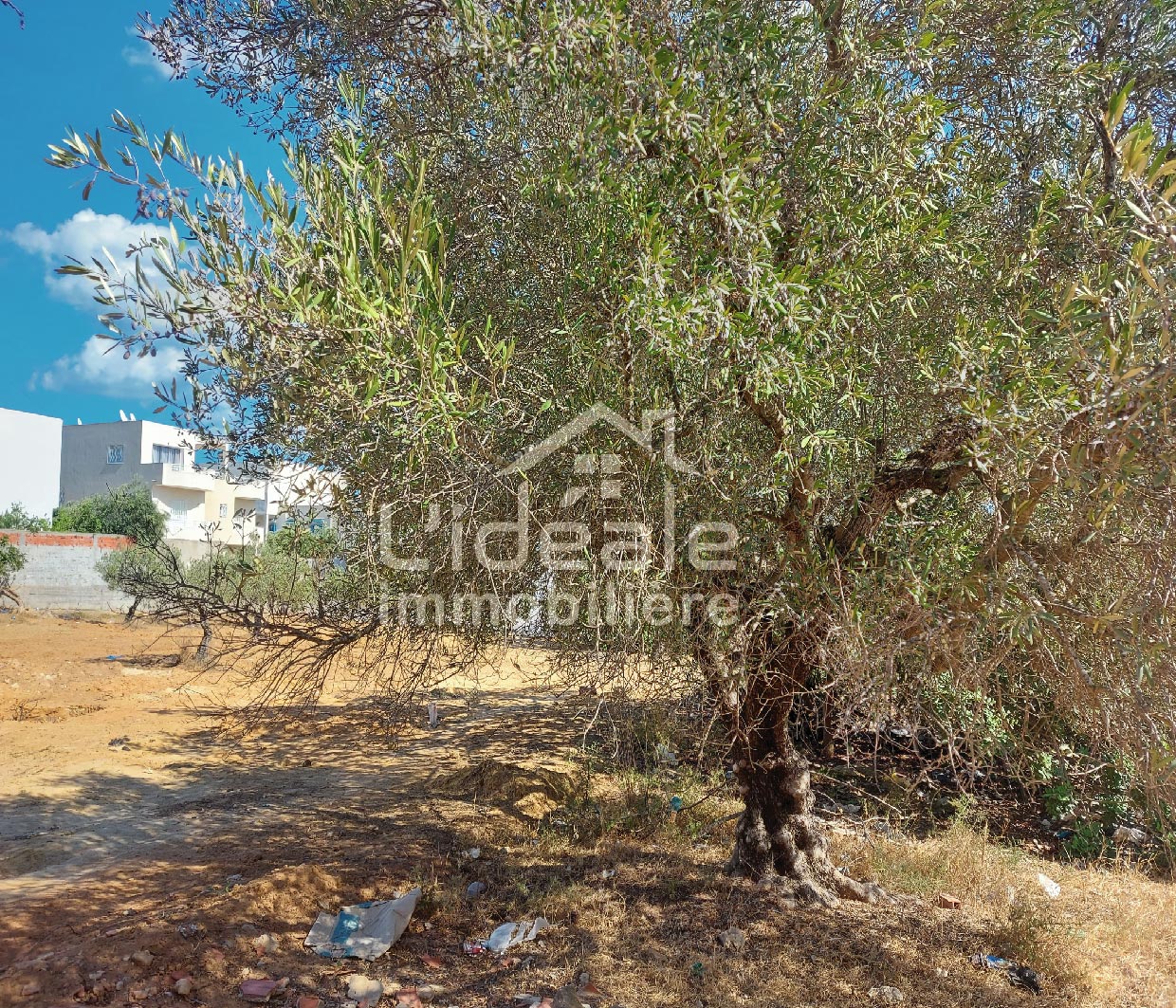 Hammamet Hammamet Terrain Terrain nu Terrain avec double faade  hammamet