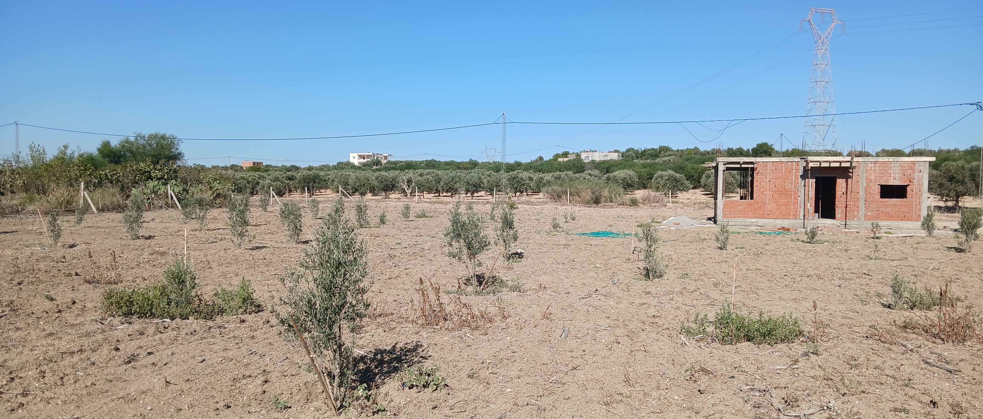 Zaghouan Zaghouan Terrain Terrain agricole Terrain agricole 5000 m avec une petite maison