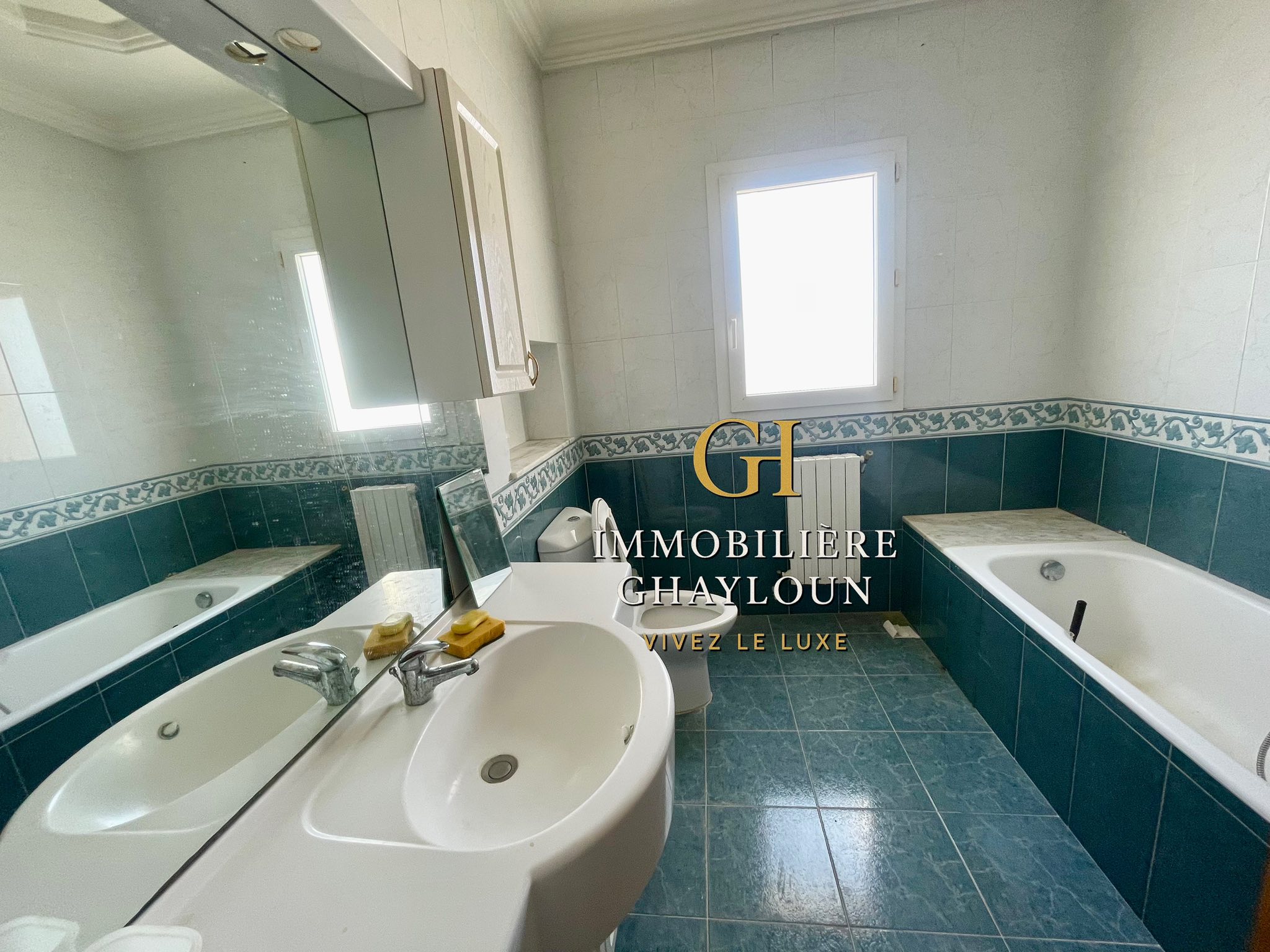 El Menzah El Manar 1 Vente Maisons Villa s11  manar 1