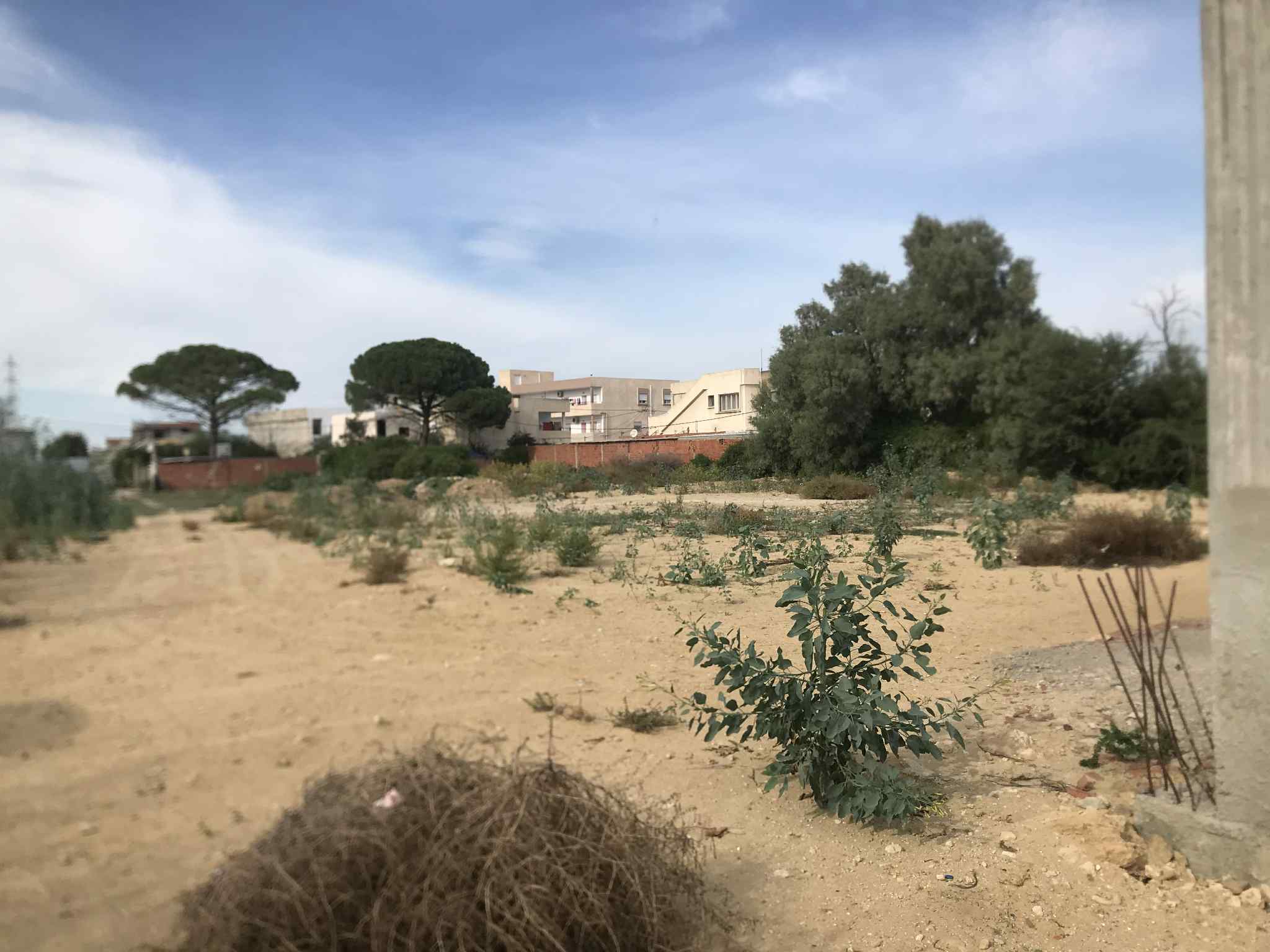 La Soukra Sidi Frej Location Autre Dpt  la soukra zone rsidentielle scurise