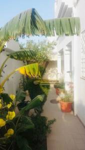 La Marsa Cite Bhar Lazreg Location Maisons Villa   bhar lazreg ref309a