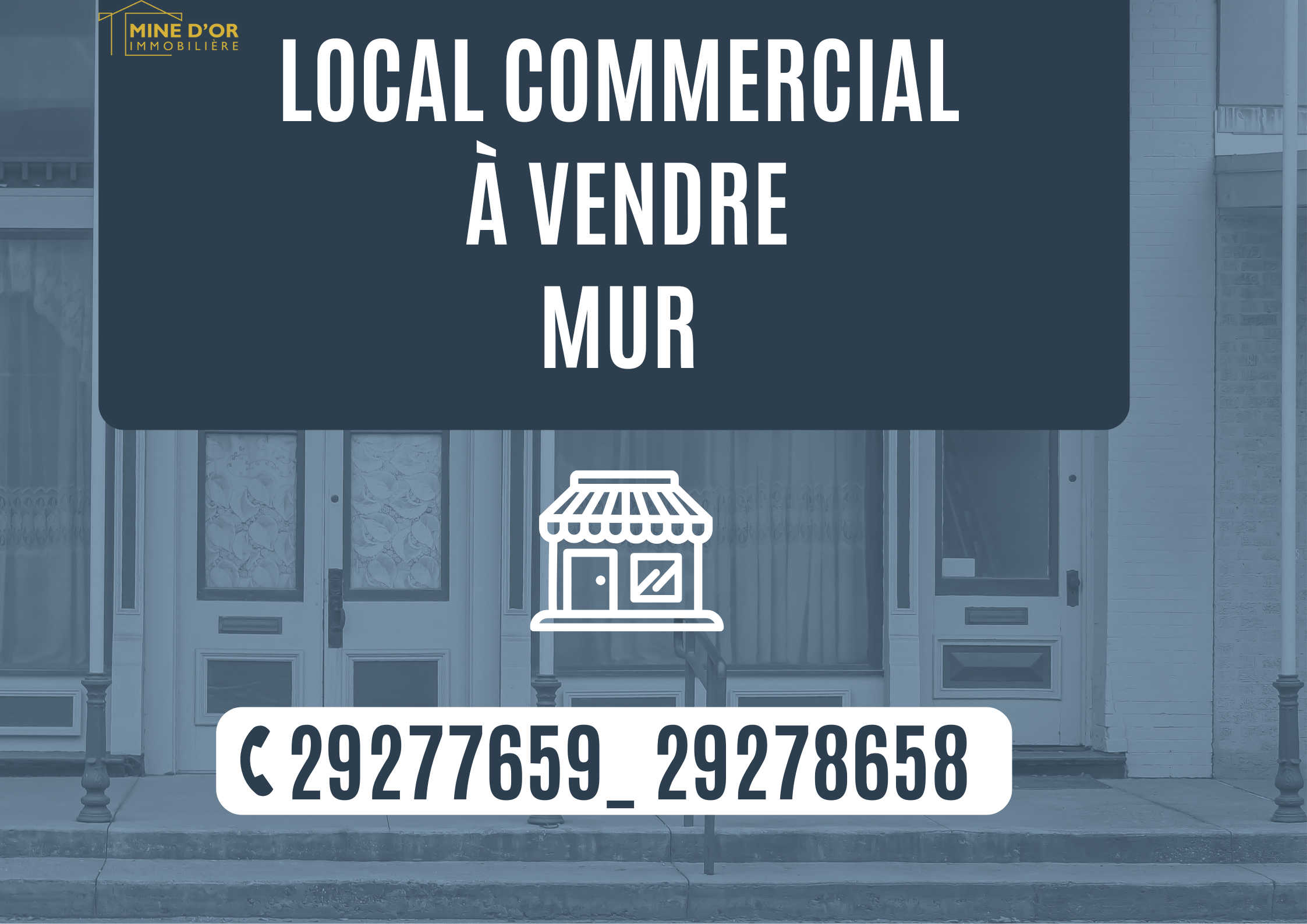 La Marsa Berge Du Lac Vente Surfaces Local commercial av mur au lac 1