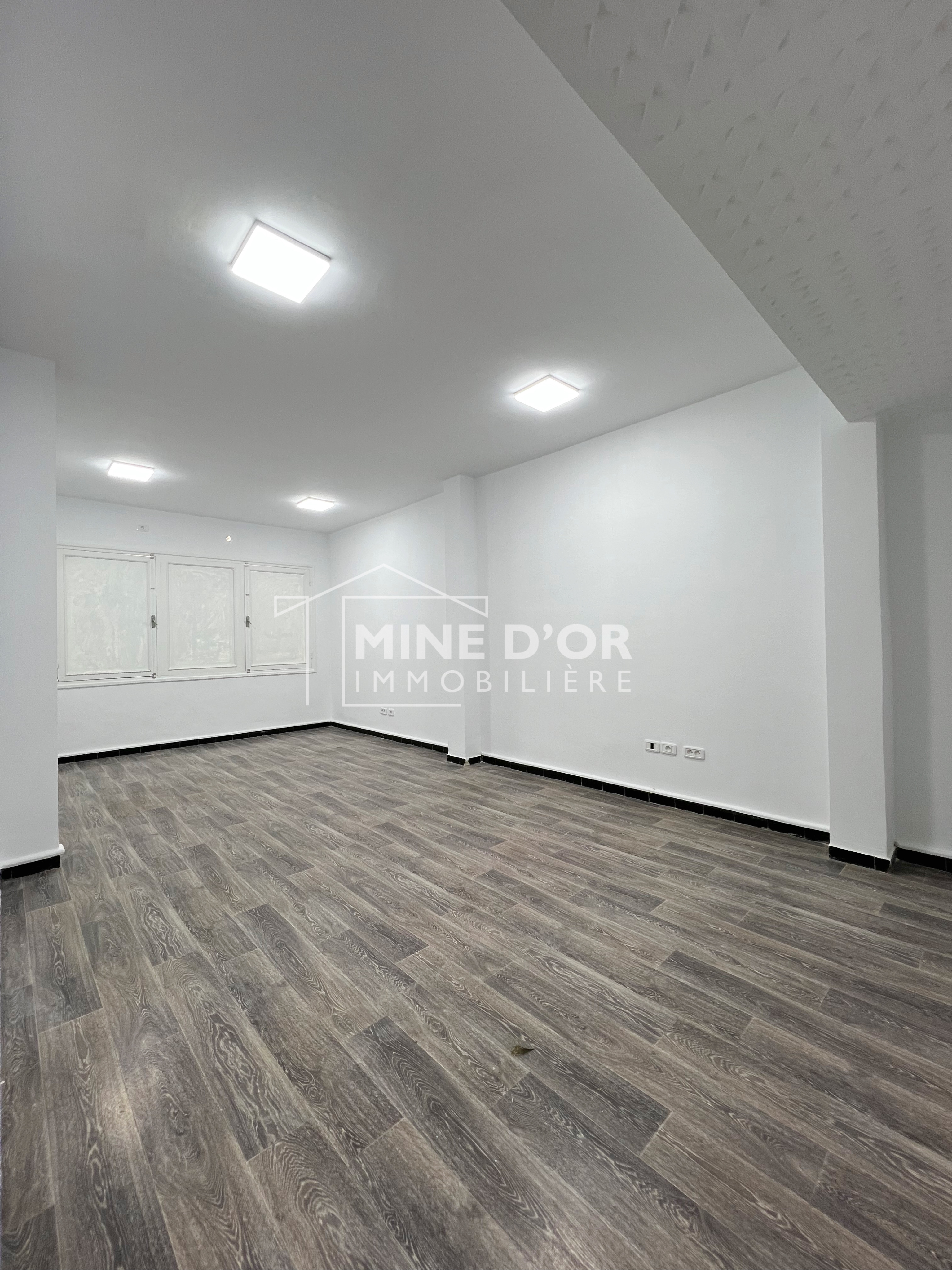 Bab Bhar Montplaisir Bureaux & Commerces Bureau Al plateau 320m spacieux  montplaisir