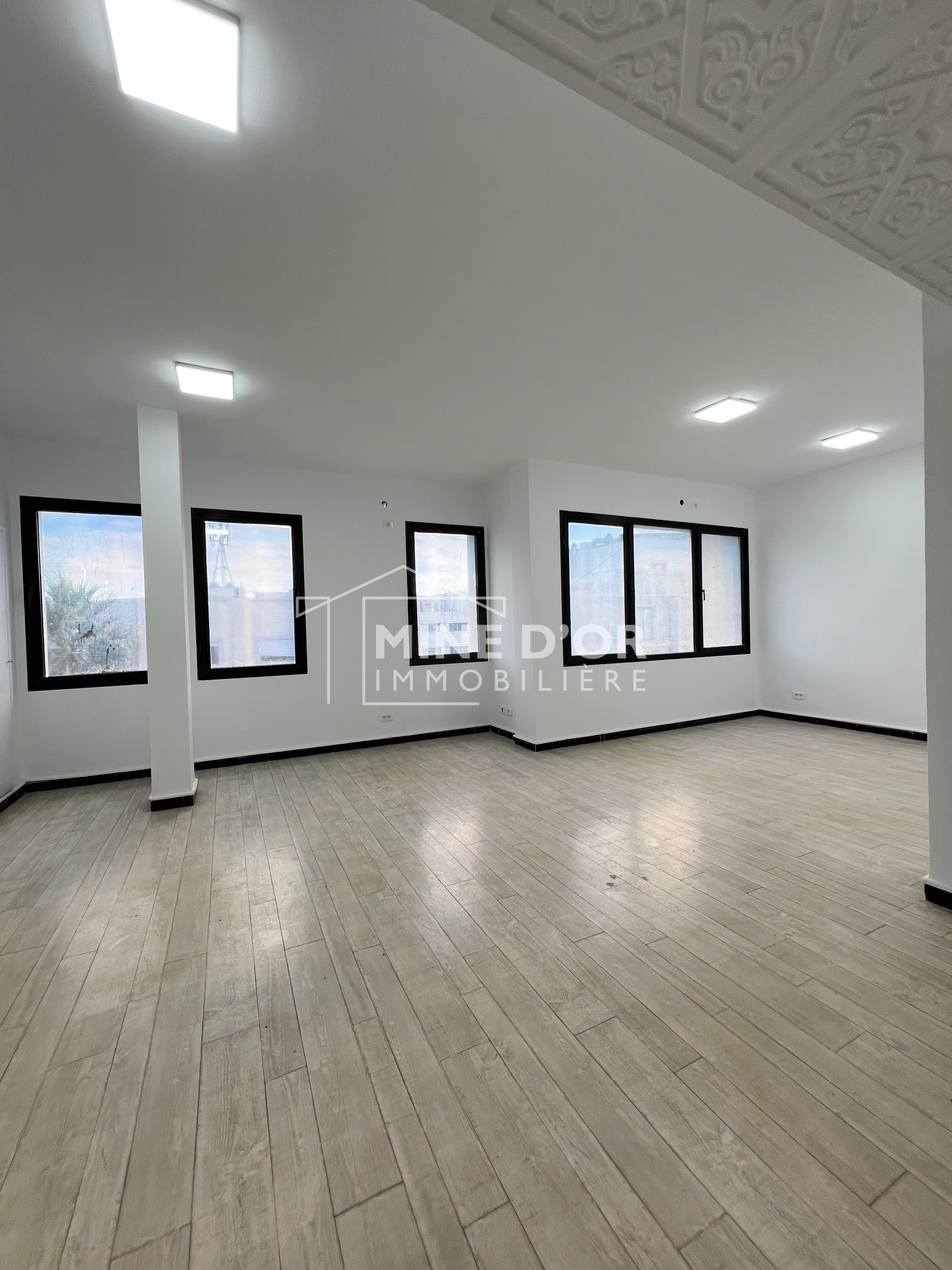 Bab Bhar Montplaisir Bureaux & Commerces Bureau Al plateau 320m spacieux  montplaisir