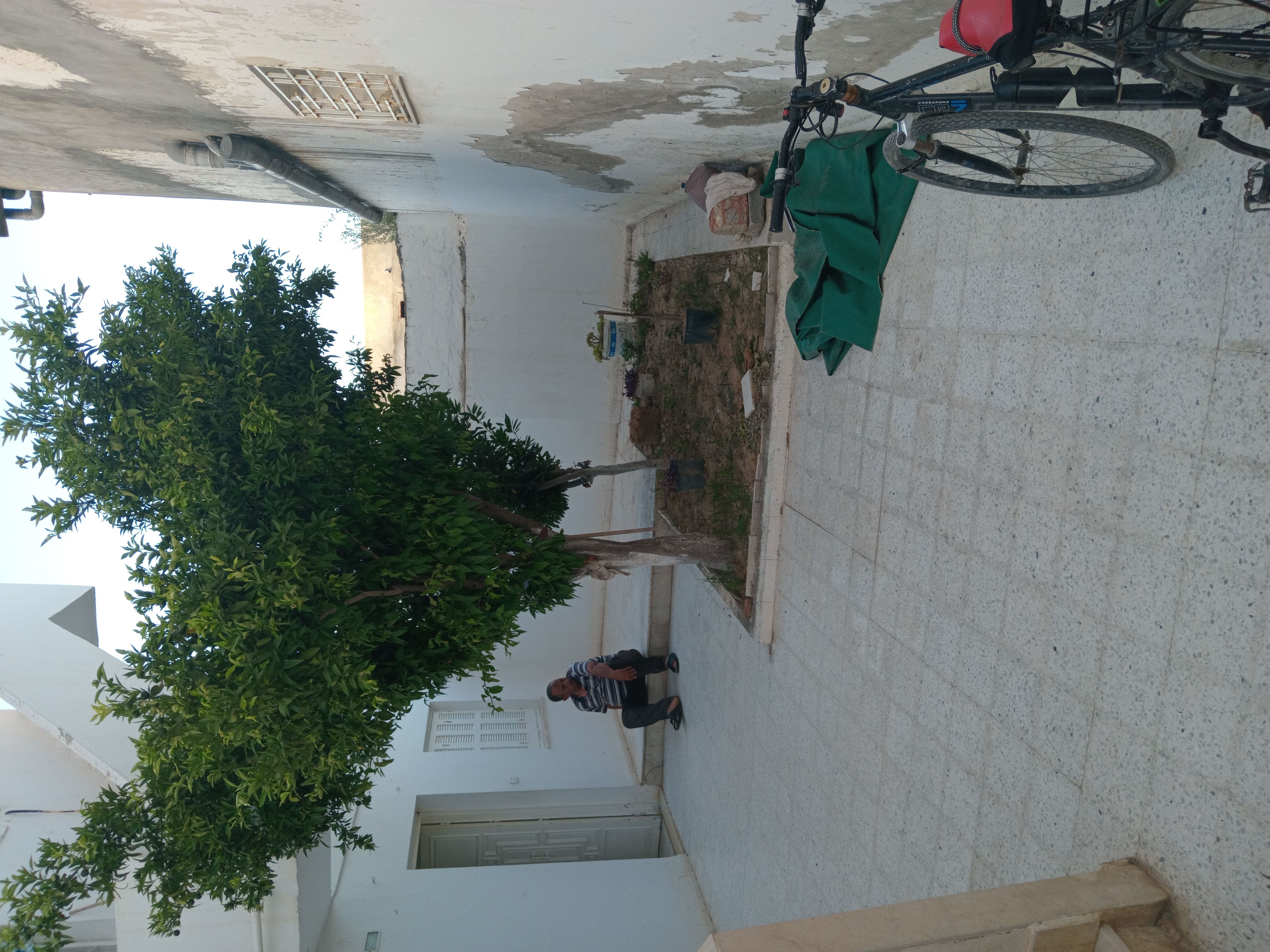 Raoued Jaafar 2 Location Maisons Maison rez de chausse avec jardin