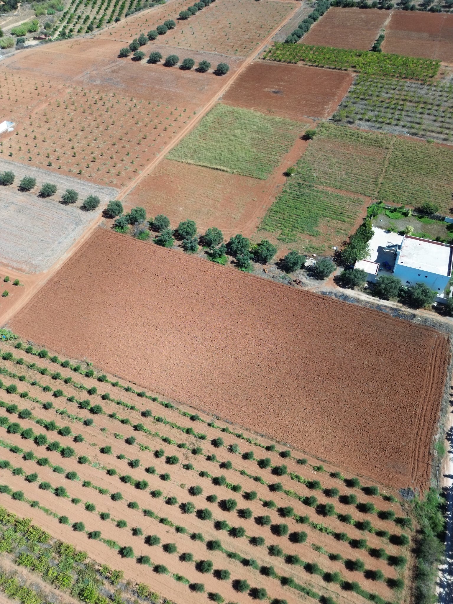 Sidi Thabet Sidi Thabet Terrain Terrain agricole Superbe terrain avec certificat de proprit